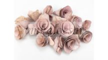 Háncsvirág hamvas rózsaszín